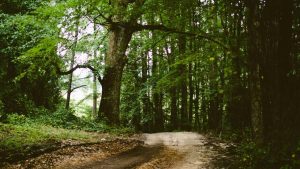 “Chat人工智能免费入口大全：在线使用便捷体验！”