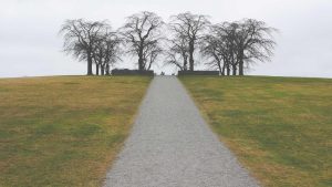 “AI写作：探索人工智能的发展现状与创意潜力”