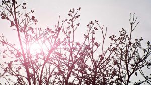 “AI写作服务小程序：高质量论文自动生成”