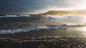 “Chat人工智能入口全汇总，中文版免费使用”