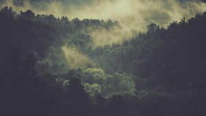 「AI人工智能：未来智慧探索」