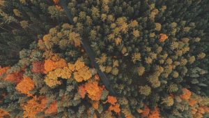 “AI人工智能：发展现状与未来展望”