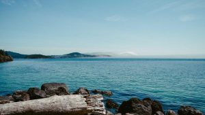 “Chat人工智能免费入口大全：畅享智能对话体验”