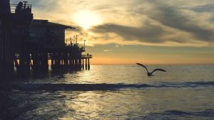 “chat3.5免费版登录入口：畅享轻松在线交流”