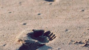 “AI写作免费一键生成工具全揭秘！”