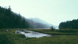 “AI写作：文学创作新时代”