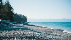 “人工智能：现状与前景”