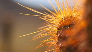 “AI革命：智能写作引领未来”