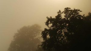 “Chat3.5免费版登录入口：随时随地畅聊”