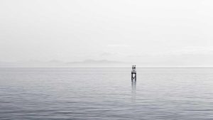 AI写作：点燃创意的火花