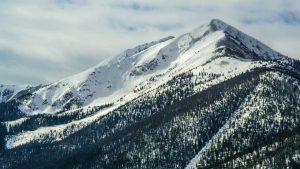 免费中文版chat人工智能使用指南