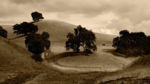 chat3.5免费版登录入口攻略及密码解密