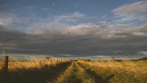 【标题】：chat3.5免费版登录入口大全