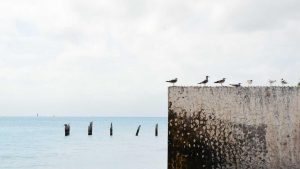 “AI写作：释放您的创造力”