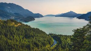 人工智能：现状、发展与应用前景