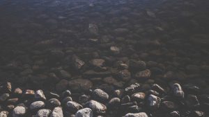 “寻找chat人工智能免费入口？试试这个！”