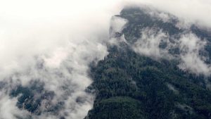 “AI助力人工智能论文写作：免费生成器到学术造假探究”