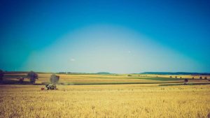 “Chat3.5免费版登录入口：畅享网络交流乐趣”