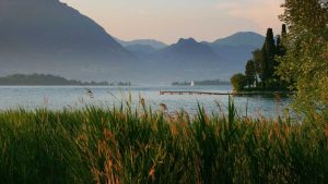 “AI革命：发展现状与未来展望”