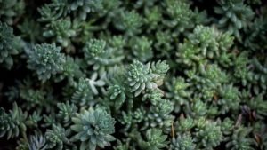 AI助力高效论文写作攻略