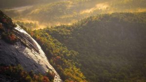 快速找到chat3.5免费版登录入口的方法