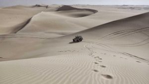 畅聊AI丨免费入口大揭秘【限时独家】