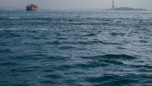 “Chat人工智能免费入口搜罗”