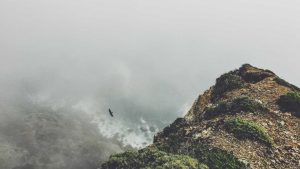 “发现最佳chat人工智能免费入口！”