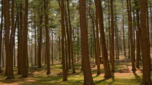 “探寻chat人工智能免费入口：”