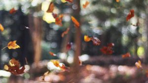 chat人工智能免费入口全攻略