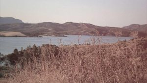 “畅聊先机：人工智能免费入口全揭秘！”