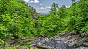 “Chat 人工智能免费入口大全及推荐”