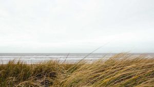 “Chat人工智能：畅聊无忧大全”