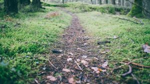 “Chat人工智能免费入口探秘”