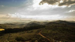 “AI写作服务小程序：点燃你的创作灵感”