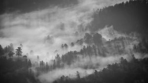 “探寻聊天人工智能免费入口”