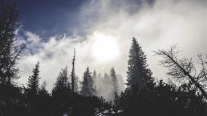 “中文版chat人工智能免费入口在线使用攻略”