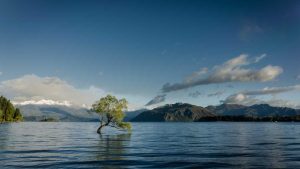 “Chat人工智能免费入口：快速体验智能对话”