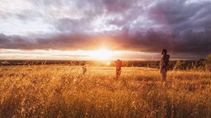 chat人工智能免费入口汇总