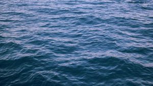 应对人工智能发展挑战：现状与前景