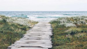 “畅享免费chat人工智能：智能对话，尽在指尖”