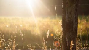 “免费chat人工智能入口大全：在线使用推荐”