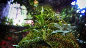 “Chat人工智能免费入口大全：推荐中文版网页版”