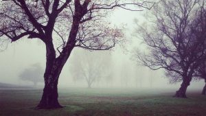 了解，以下是符合您要求的
“chat人工智能免费入口：全面介绍与推荐”