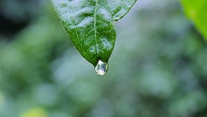 Chat人工智能免费入口全面指南