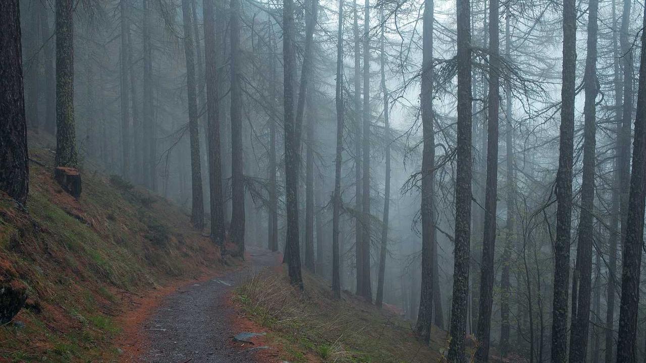 全球在线 Chat 人工智能免费入口大全 全球在线 Chat 人工智能免费入口大全