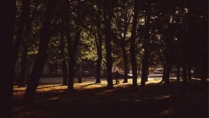 1. 免费试用chat人工智能入口