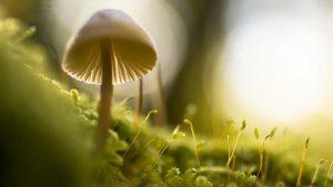 “Chat人工智能免费入口大全：探索未来通信技术”