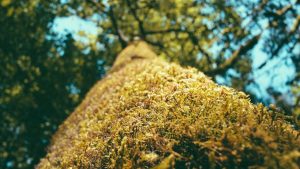 chat人工智能免费入口：全方位介绍与应用指南