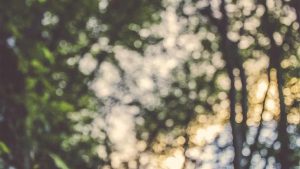 “chat人工智能免费入口大全：在线使用指南”